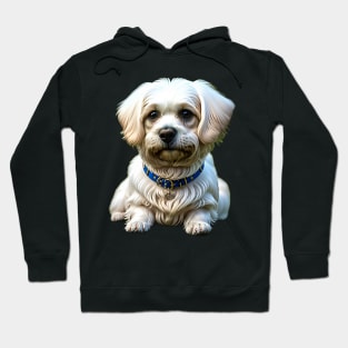 Magical Cute Maltese Hoodie